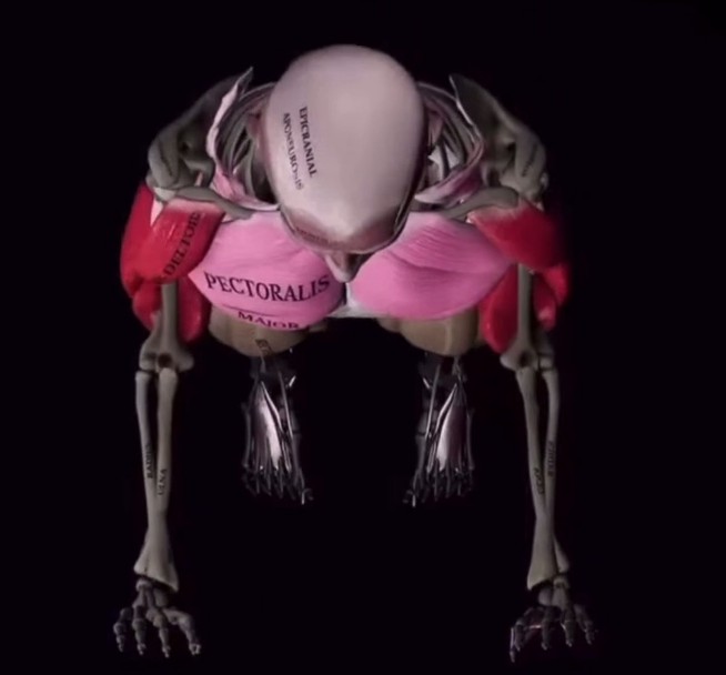 Как тренироваться правильно: теория и практика