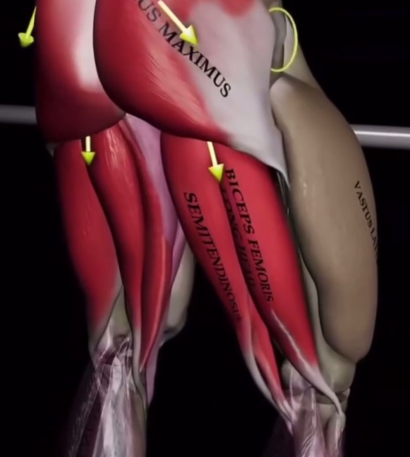 Как тренироваться правильно: теория и практика