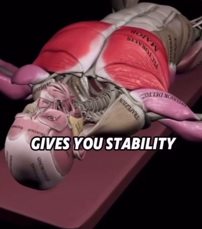 Как тренироваться правильно: теория и практика