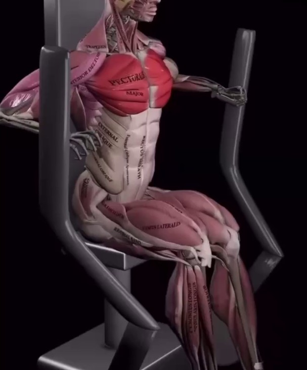 Как тренироваться правильно: теория и практика